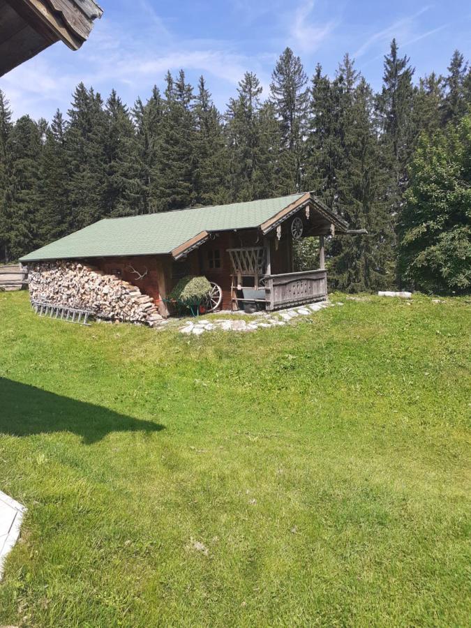 Reitbergs Nest Leilighet Eugendorf Eksteriør bilde