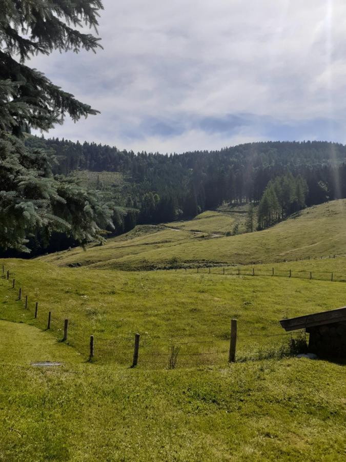 Reitbergs Nest Leilighet Eugendorf Eksteriør bilde